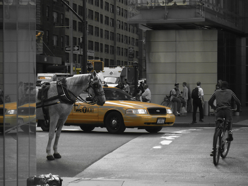 Photographie Aurélia New-York